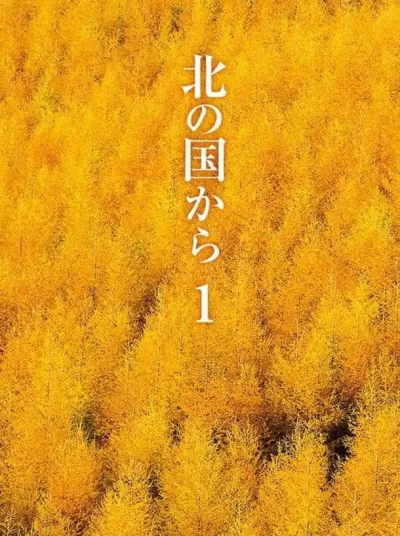 北国之恋 (1981)