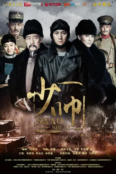 少帅 (2015)
