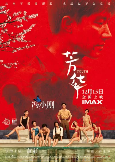 芳华 (2017)
