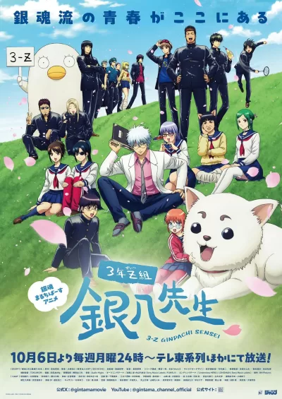 3年Z组银八老师 (2025)