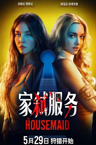 家弑服务 (2025)