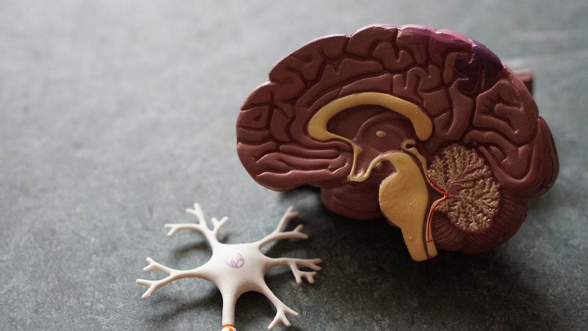Neuralink重大突破：失语者终于能用”意念”说话了